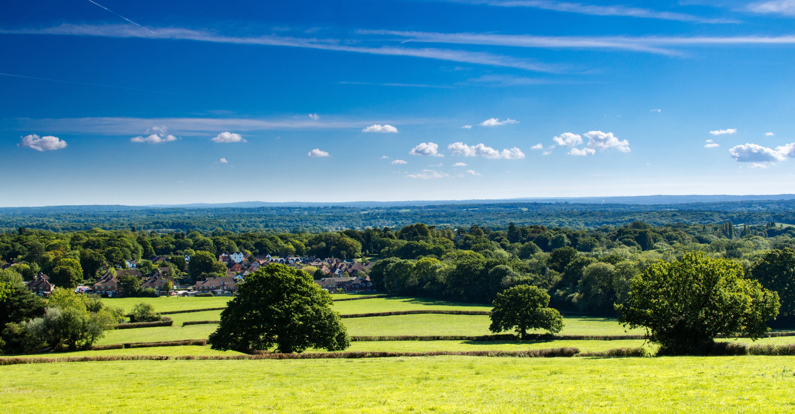 Landscape of Surrey with Blue Sky