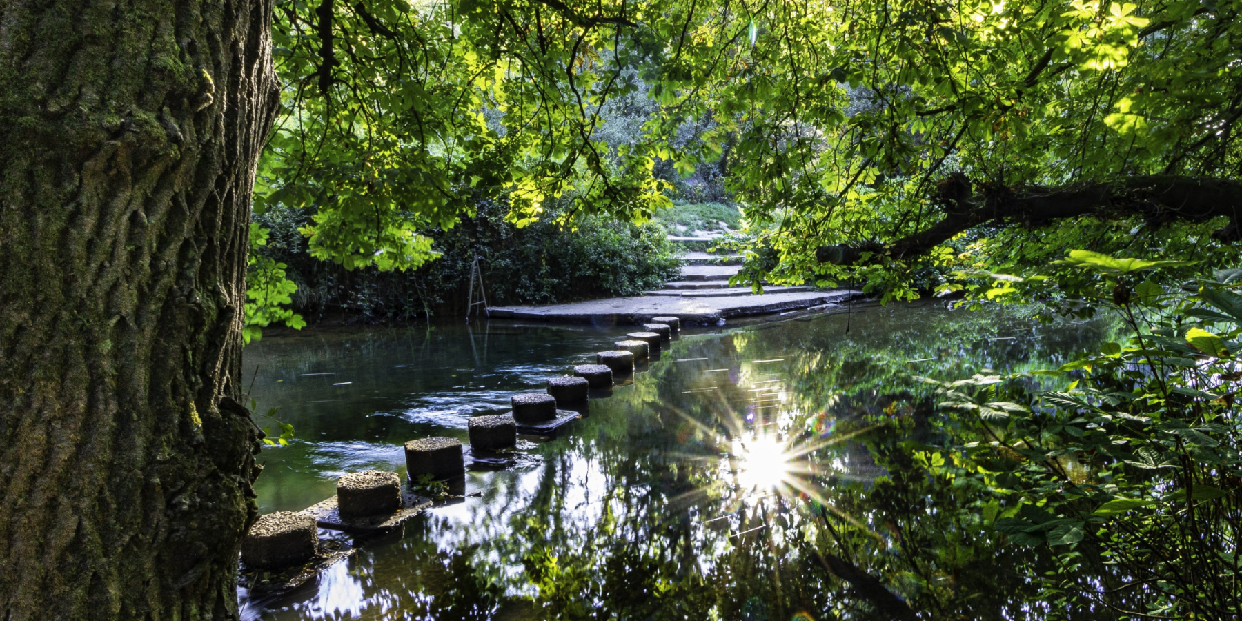 The Citywide Way - Define - Image of Stepping Stones